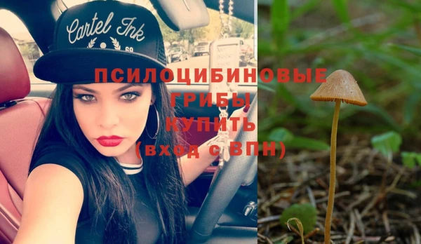не бодяженный Армянск
