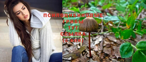 метамфетамин Аркадак