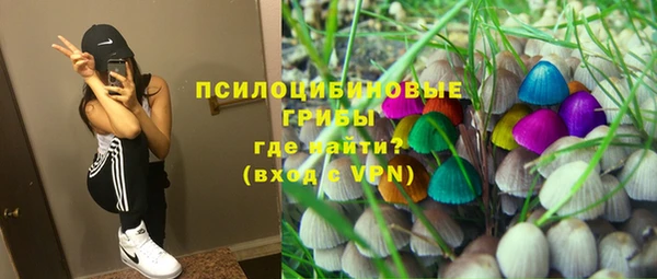 бутират Арсеньев