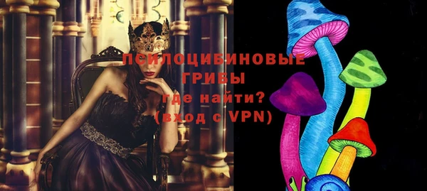 бутират Арсеньев